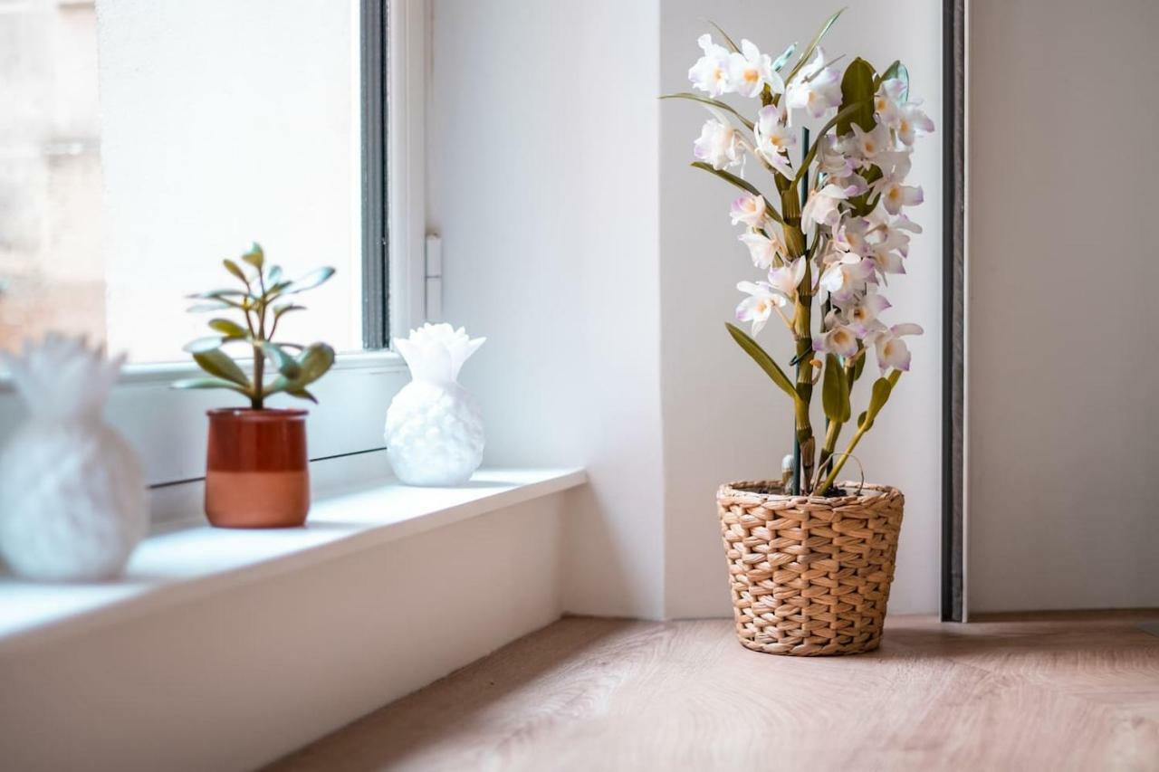 Apartamento Havre de paix- hyper centre 2/4 pers avec terrasse privée Nantes Exterior foto